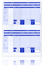 Standard Iris Payslips