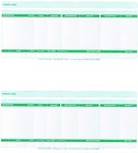 Standard Sage Green Payslips